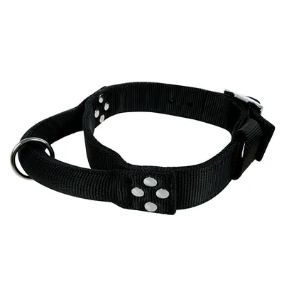 zolux - Collier avec poignée T 65 cm  pour chien