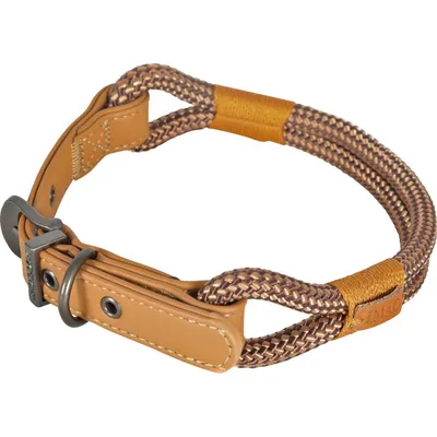 Collier IMAO  40 cm x 6 mm Hyde park chocolat pour chien.