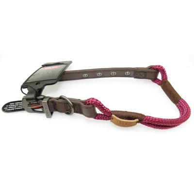 Collier IMAO 40 cm x 6 mm Hyde park fuchsia  pour chien.