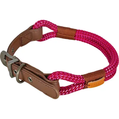 zolux - Collier IMAO 40 cm x 6 mm Hyde park fuchsia  pour chien.