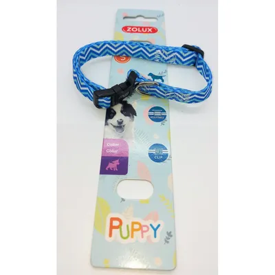 zolux - Collier PUPPY PIXIE 13 mm 25 à 39 cm couleur  pour chiots