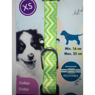 Collier PUPPY PIXIE 8 mm 16 à 25 cm couleur vert pour chiots