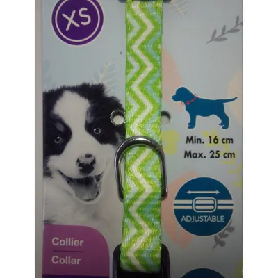 zolux - Collier PUPPY PIXIE 8 mm 16 à 25 cm couleur vert pour chiots