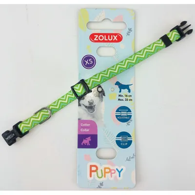zolux - Collier PUPPY PIXIE 8 mm 16 à 25 cm couleur vert pour chiots