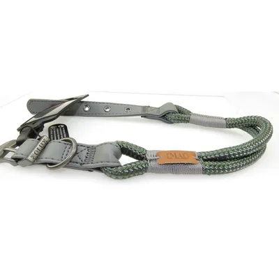 Collier IMAO 50 cm x 9 mm Hyde park kaki pour chien