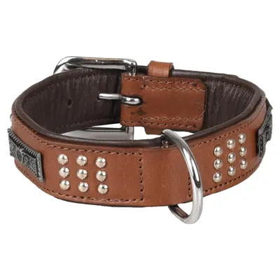 Collier Cuir SEDONA brun taille S/M 31-35 cm pour chien.