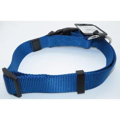 Collier Ziggi  45 -65 cm. 25 mm taille L pour chien.