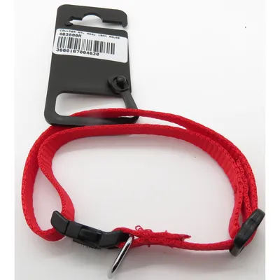 Collier nylon 25 - 35  cm X 10 mm  pour chien.