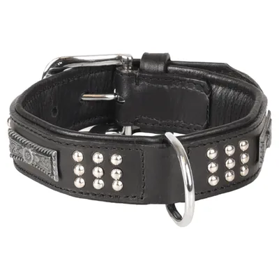 Collier Cuir SEDONA  taille S 26-31 cm pour chien.