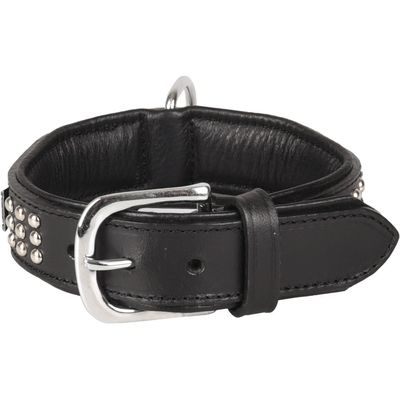 Collier Cuir SEDONA  taille S 26-31 cm pour chien.