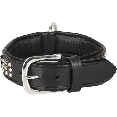 Collier Cuir SEDONA  taille S 26-31 cm pour chien.