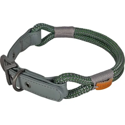 Collier IMAO 40 cm x 6 mm Hyde park   kaki pour chien