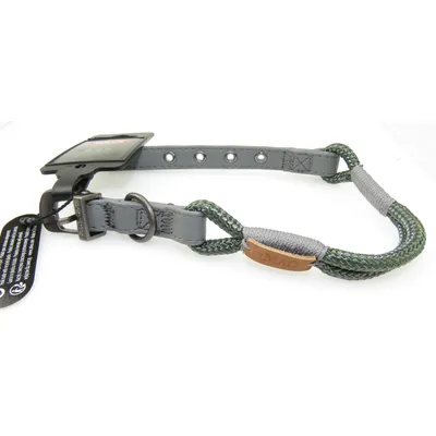 zolux - Collier IMAO 40 cm x 6 mm Hyde park   kaki pour chien