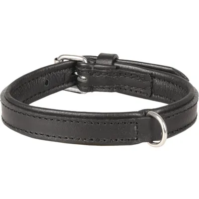 Collier Cuir XS/S  23-27 cm ARIZONA  pour chien