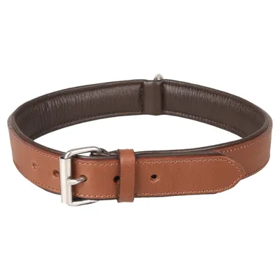 Collier Cuir XXL 52-61 cm ARIZONA brun  pour chien.