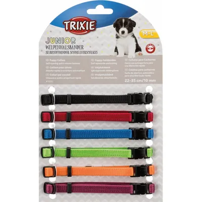 6 colliers  M-L  22 à 35 cm x 10 mm pour chiot.  couleurs différentes