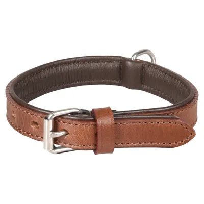 Collier Cuir S 26-32 cm ARIZONA brun  pour chien
