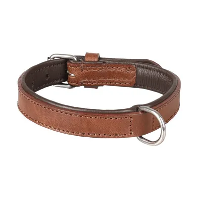 Collier Cuir S 26-32 cm ARIZONA brun  pour chien