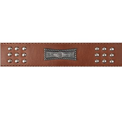 Collier Cuir SEDONA brun taille XL 47-55 cm pour chien.