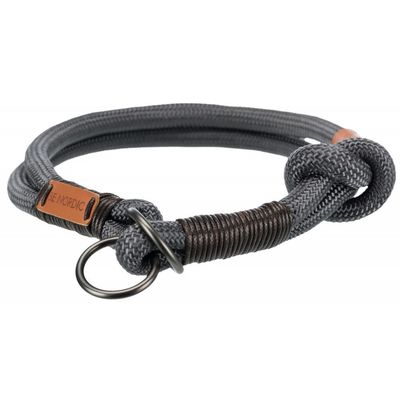 Collier pour Chiens Bande Boucle pour Chiot Animaux Chat Multi-taille