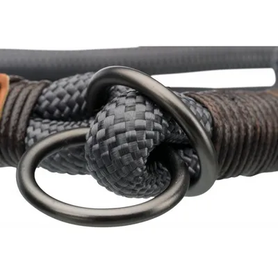 Collier pour Chiens Bande Boucle pour Chiot Animaux Chat Multi-taille