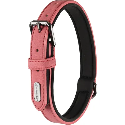 animallparadise - Collier DELU taille ML 38-48 cm en simili cuir et néoprèn