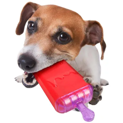 Flamingo - Jouet rafraîchissant LOLLY en TPR 16 cm pour chien