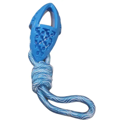 jeux pour chien ovale en TPR et corde longueur 27.5 cm ,