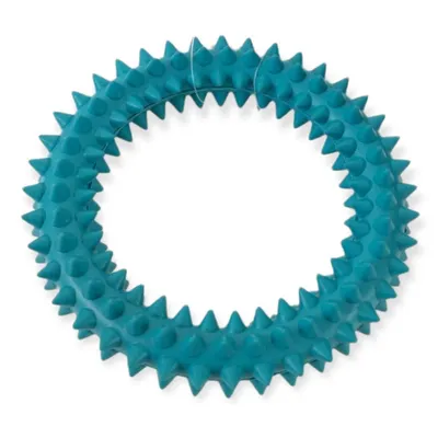 jeux en caoutchouc ø 15 cm pour chien, couleurs aléatoires