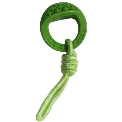 Anneau rond en TPR et corde 25 cm, vert, Samba Jeux pour chien