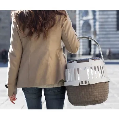 Bama - Cage de transport, Tour Taupe taille XS  33 X 52 X 34 cm pour petit