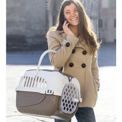 Bama - Cage de transport, Tour Taupe taille XS  33 X 52 X 34 cm pour petit