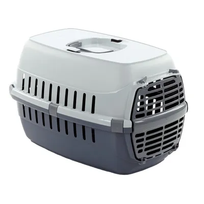 Cage de transport NOAH 1, pour petit chien ou chat maxi 5 kg couleur aléato