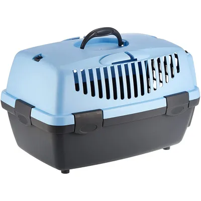 Box de transport Capri 1, pour petit chien ou chat : XS 32 x 31 x 48 cm max