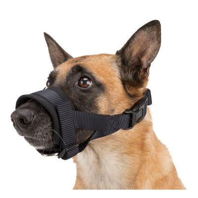 Muselière sangle taille L-XL pour chien Bouvier Bernois, Golden Retriever.