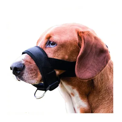 Trixie - Muselière sangle taille L-XL pour chien Bouvier Bernois, Golden Re Trixie - Muselière sangle taille L-XL pour chien Bouvier Bernois, Golden Re