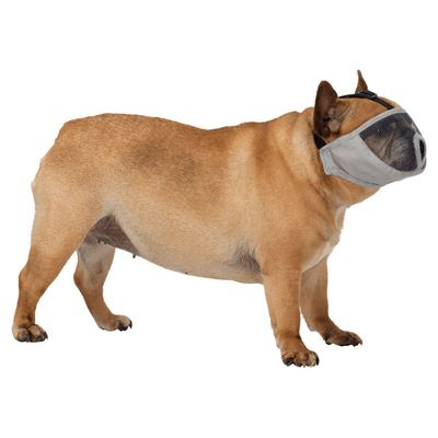 Muselière Taille S-M pour les races de chien à nez court