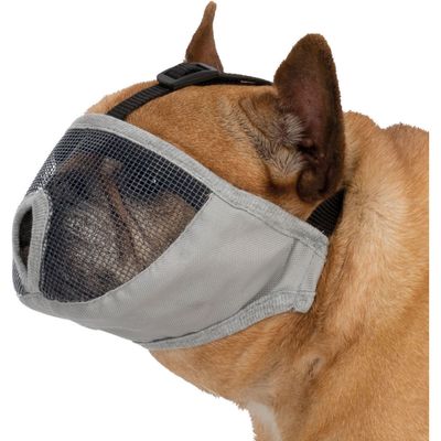 Muselière Taille S pour les races de chien  à nez court