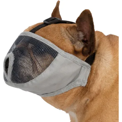 Muselière Taille S pour les races de chien  à nez court