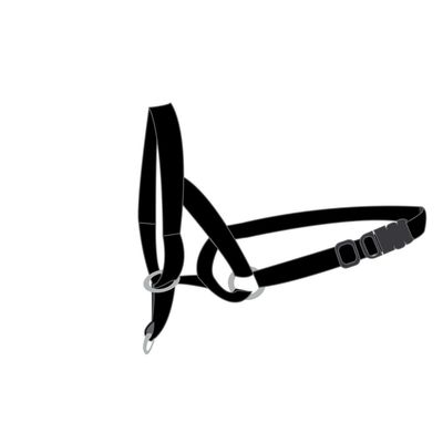 Harnais de dressage de tête museliere-  XS - pour chien