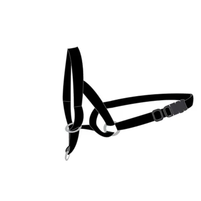 Flamingo - Harnais de dressage de tête museliere-  XS - pour chien