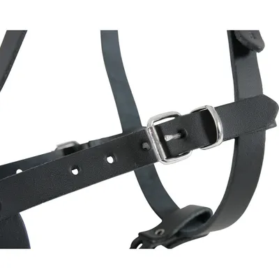 animallparadise - Museliere Police e. taille 6. convient pour les berge animallparadise - Museliere Police e. taille 6. convient pour les berge
