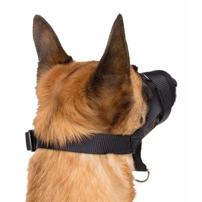 Muselière sangle taille XL-XXL pour chien Dogue allemand, Leonberg.