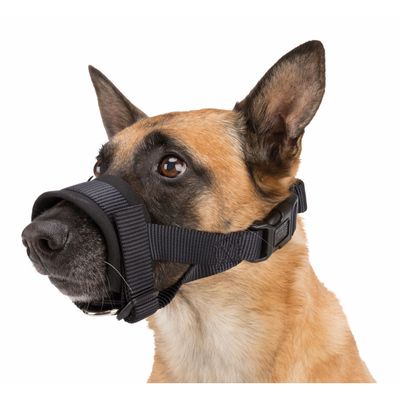 Muselière sangle taille M-L pour chien Beagle, Dalmatien