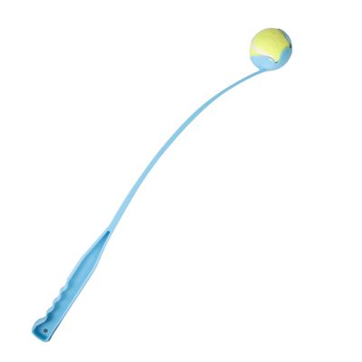Lance balle Hawaï 64 cm couleur aléatoire pour chien