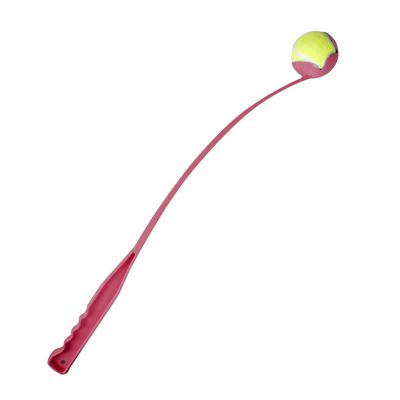 Lance balle Hawaï 64 cm couleur aléatoire pour chien