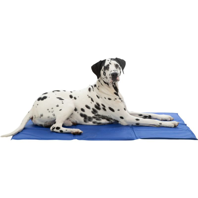 Trixie - Matelas rafraîchissant XXL 110 x 70 cm  pour chien