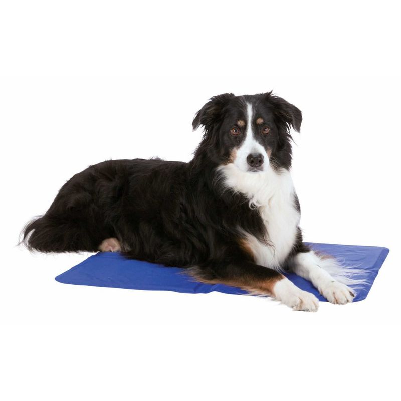 Trixie - Matelas rafraîchissant M 50 x 40 cm  pour chien