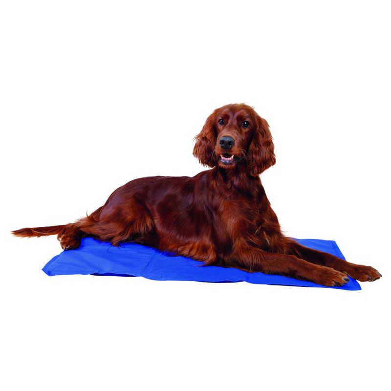 Trixie - Matelas rafraîchissant L 65 x 50 cm,   pour chien