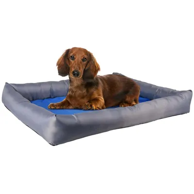 Coussin rafraîchissant FRESK taille M 60 x 50 x 8.5 cm /gris pour chien Coussin rafraîchissant FRESK taille M 60 x 50 x 8.5 cm /gris pour chien